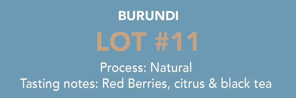 dose - burundi, lot 11 coffee by methodical coffee