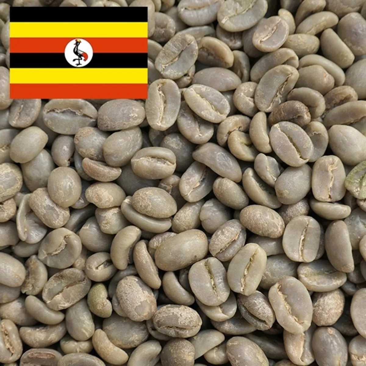 【uganda】ウガンダ マウントエルゴン 100g~ coffee by セイコードー・コーヒー