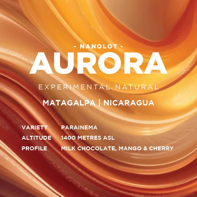 nicaragua: aurora experimental - nicaragua coffee by muttley & jack's coffee roasters