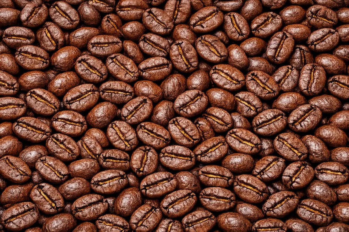 golden mandheling roasted coffee beans - sumatra coffee by pt. indonesia specialty coffee