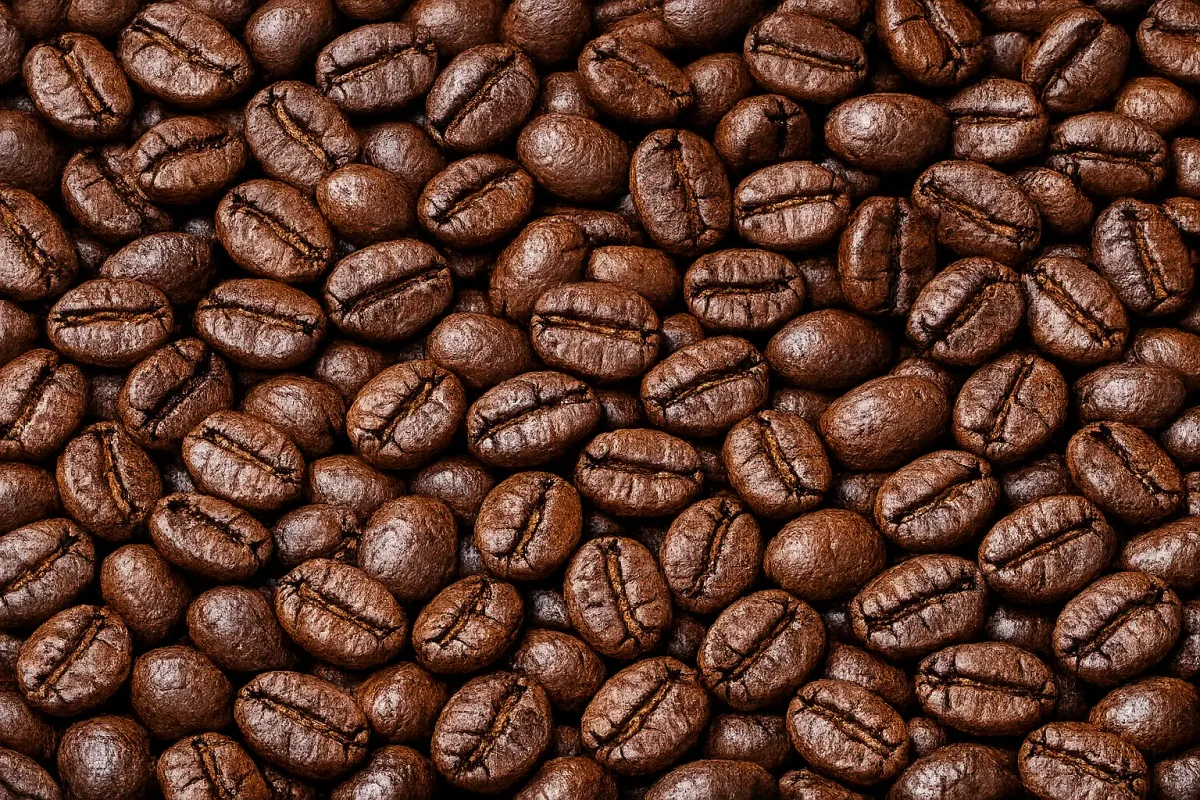 gayo natural roasted coffee beans - sumatra coffee by pt. indonesia specialty coffee