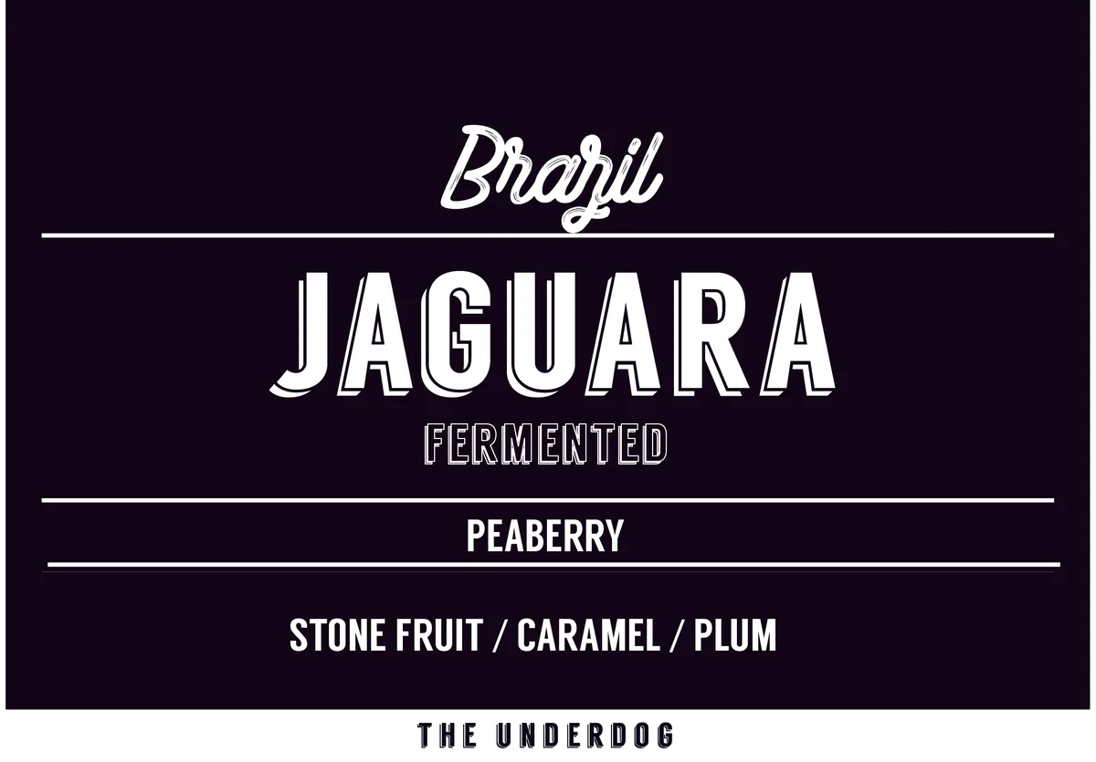 brazil, jaguara pb (72-80 hours), 200 g - brazil coffee by the underdog