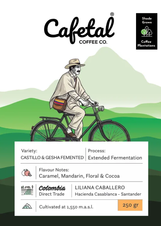 mountain blend - castillo & gesha fermented coffee beans - colombia coffee by cafetal coffee co.