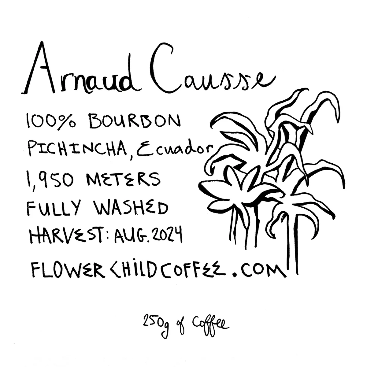 arnuad causse bourbon - ecuador + yemen coffee by flower child