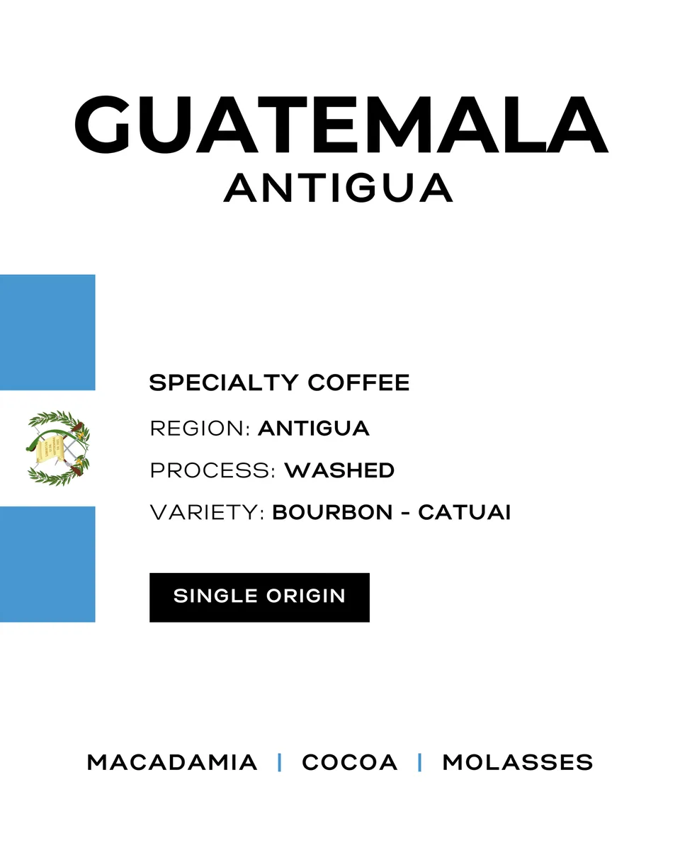 guatemala antigua coffee by patio coffee roasters