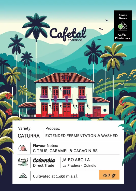caturra washed coffee beans - colombia coffee by cafetal coffee co.