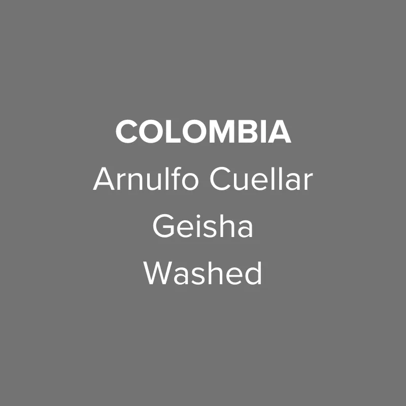 colombia arnulfo cuellar geisha washed coffee by oma coffee roaster