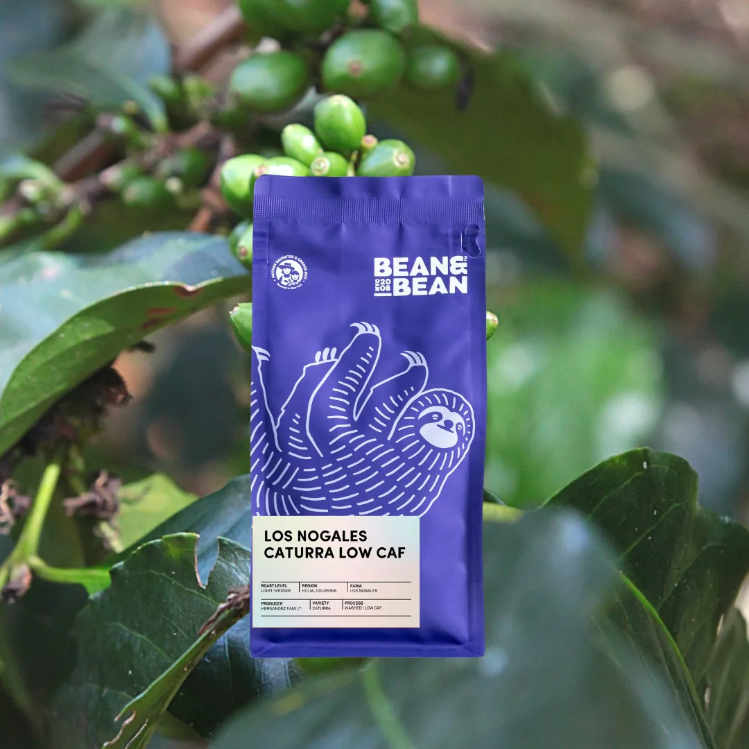 los nogales caturra low caf coffee by bean & bean queens — roastery & cafe