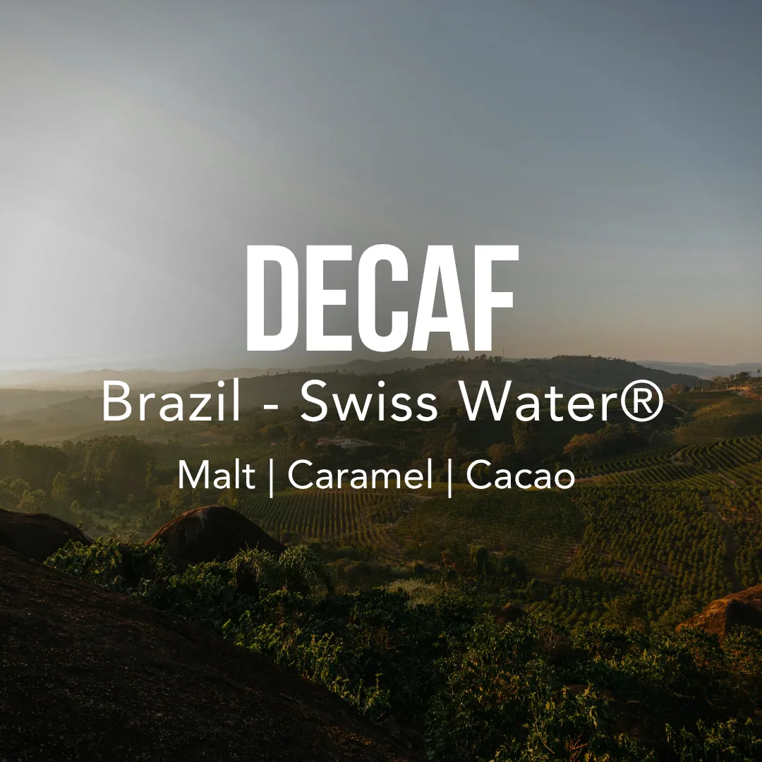 decaf coffee by excelso coffee
