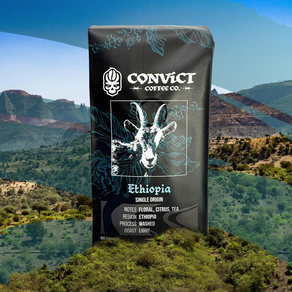 ethiopia washed light roast coffee by convict coffee company