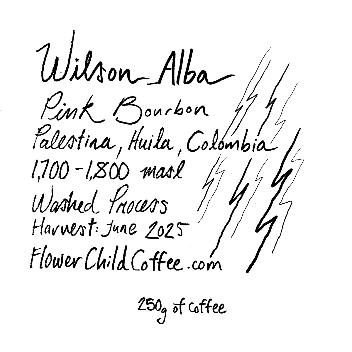 wilson alba - colombia coffee by flower child