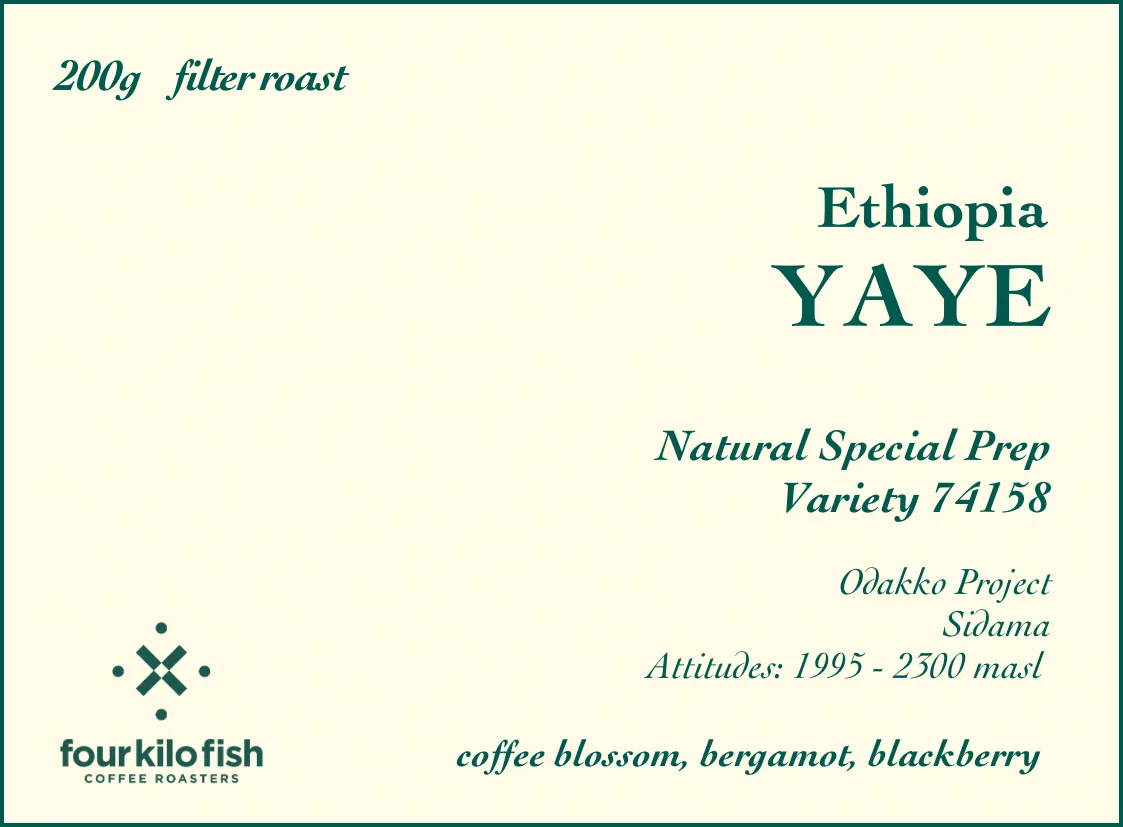 yaye | special prep natural | 74158 | sidama, ethiopia | filter | 200g coffee by four kilo fish coffee & tea