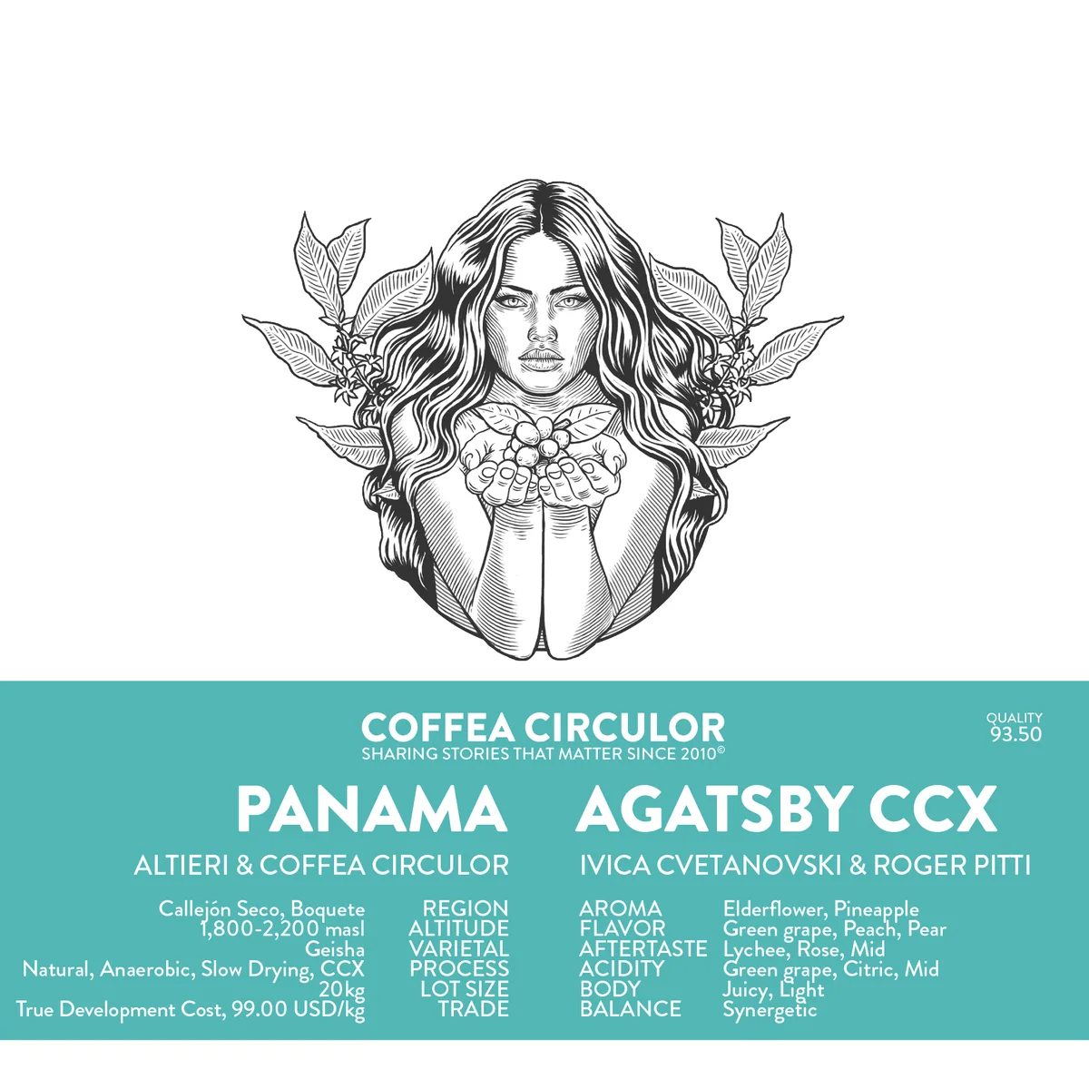 panama agatsby geisha ccx (wcigs winner) - panama coffee by coffea circulor
