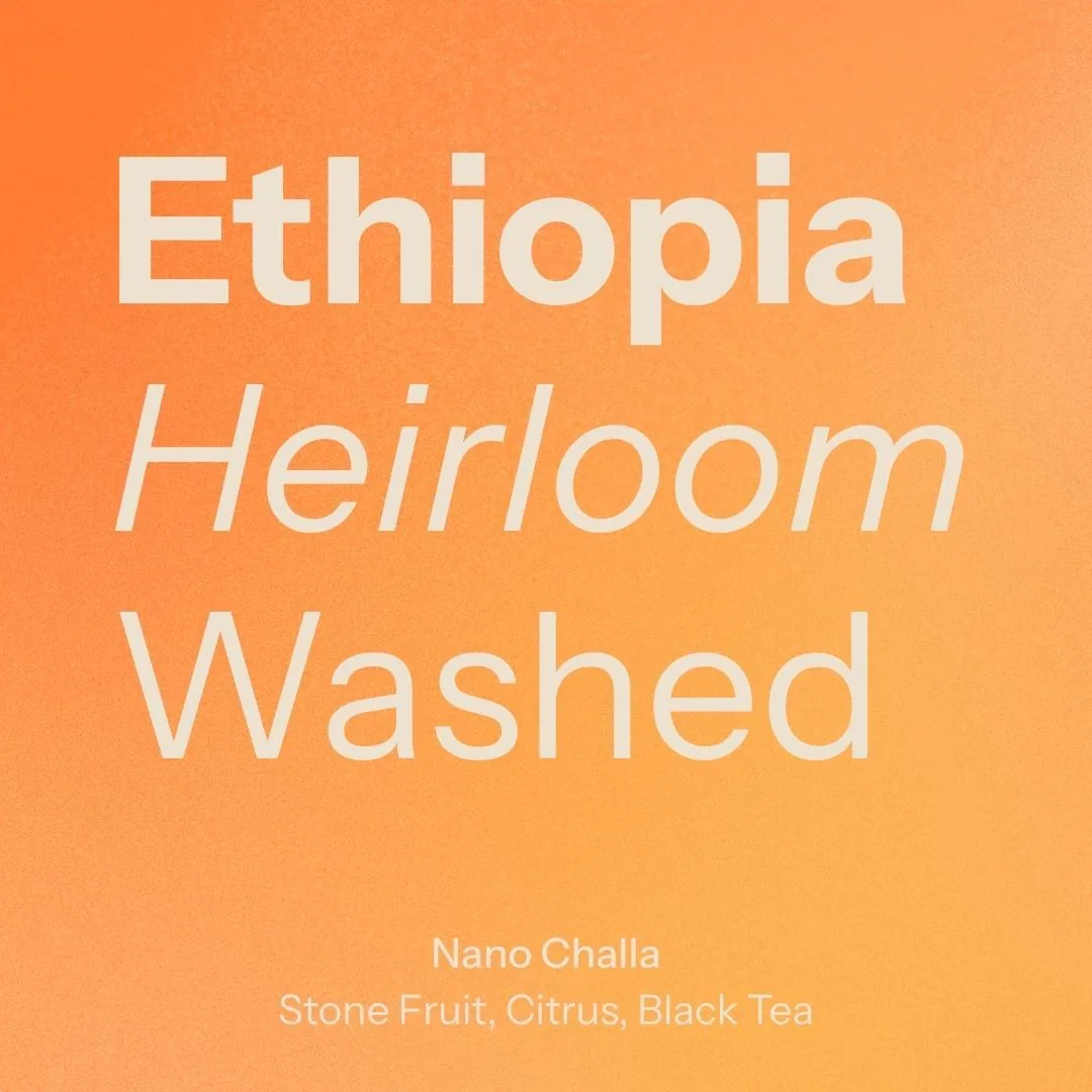 nano challa (ethiopia) coffee by nostos coffee