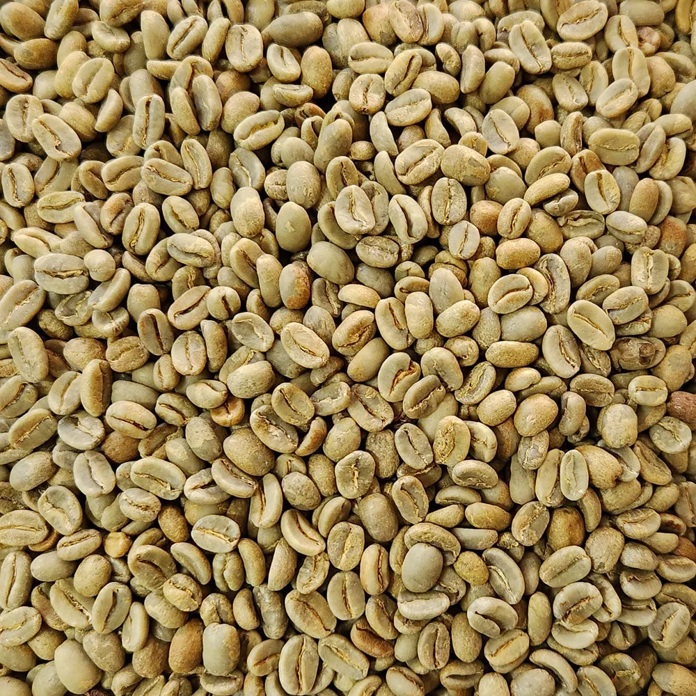 papua new guinea organic green coffee beans 1kg coffee by chiasso coffee roasters