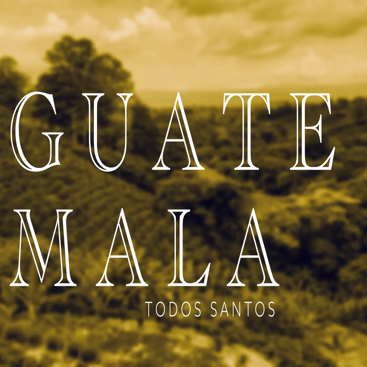 guatemala todo santos coffee by deluxe coffeeworks roastery & espresso bar