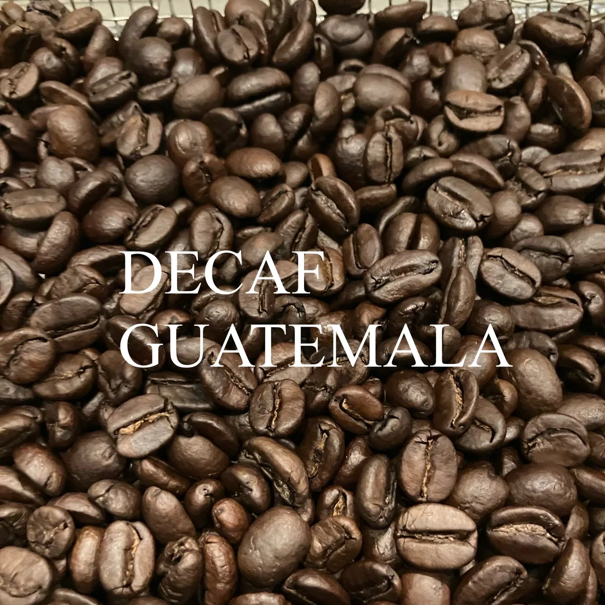 デカフェ・グアテマラ 200g/decaf・guatemala coffee by jupiters coffee roasters