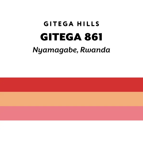 rwanda gitega 861 coffee by h&s coffee roasters