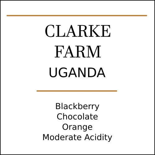 uganda clarke farm medium roast coffee by pebble and pine coffee
