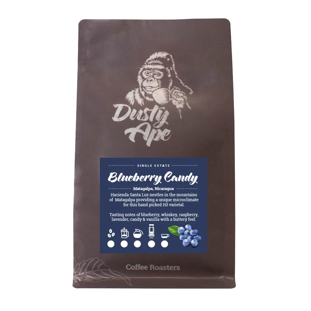 nicaragua blueberry candy coffee by dusty ape coffee roastery & coffee bar