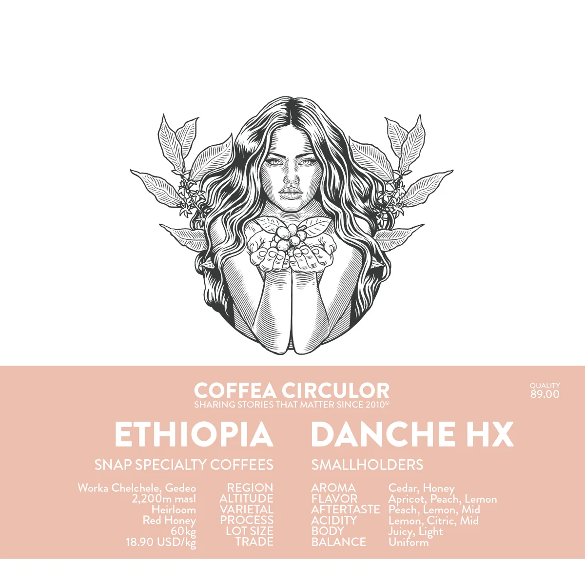 ethiopia danche honey hx coffee by coffea circulor
