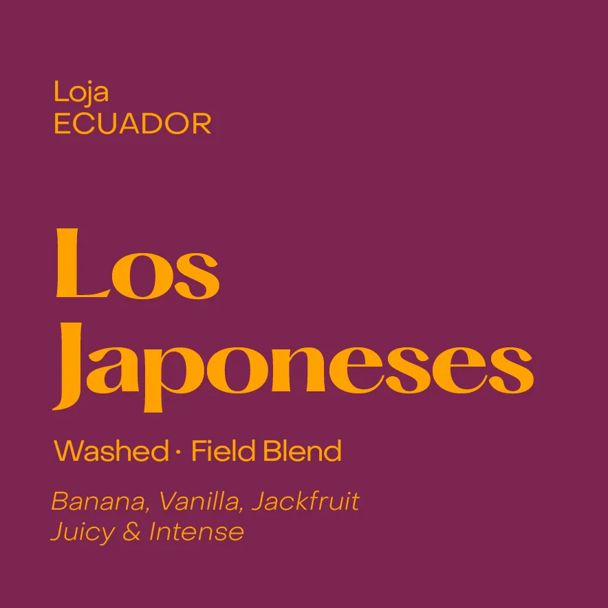 ecuador los japoneses espresso, washed field blend coffee by subtext coffee roasters