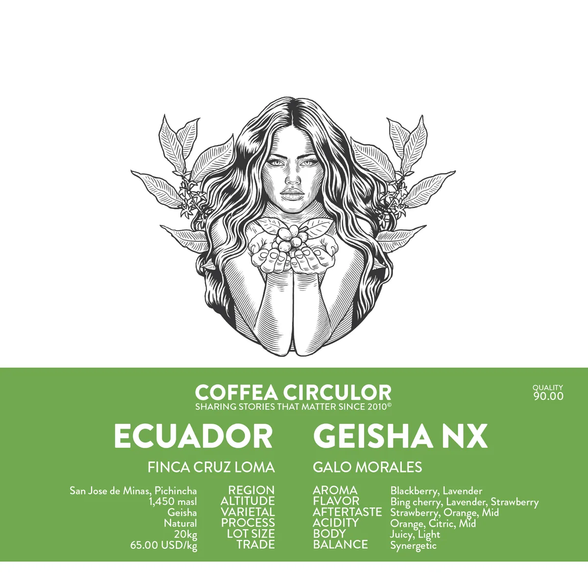 ecuador galo geisha natural nx - ecuador coffee by coffea circulor