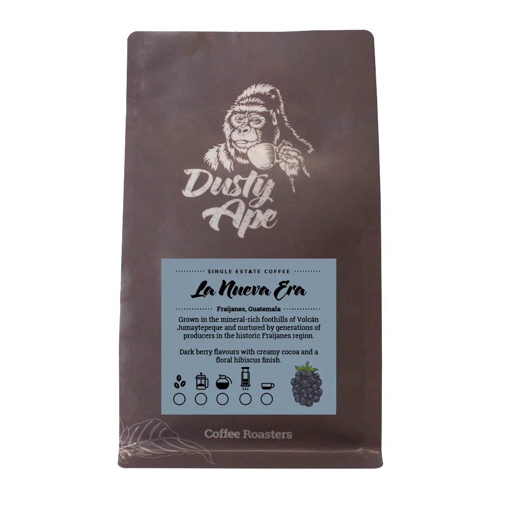 guatemala la nueva era coffee by dusty ape coffee roastery & coffee bar