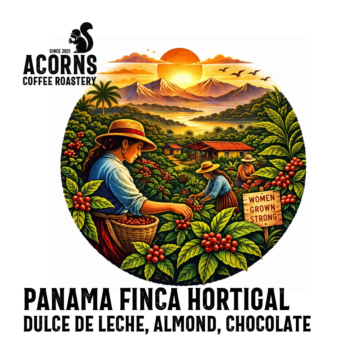 panama hortigal coffee by acorns coffee and cake