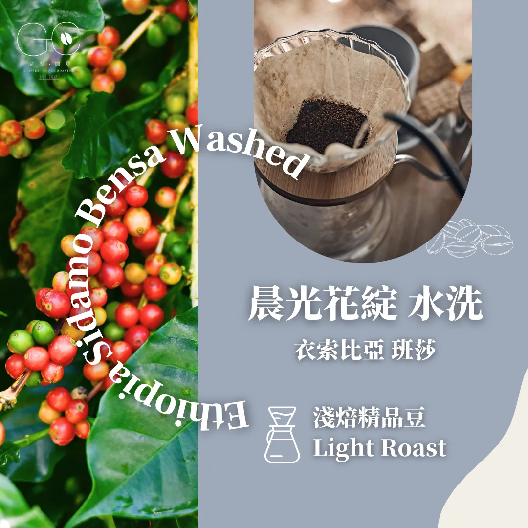 淺焙|衣索比亞 西達馬 班莎 晨光花綻 水洗 ethiopia sidamo bensa 74110 & 74112 washed coffee by gazecafe
