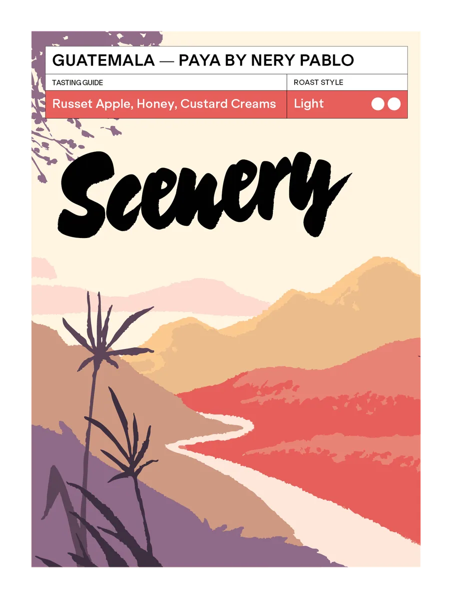 guatemala - paya by nery pablo [25/26] coffee by scenery