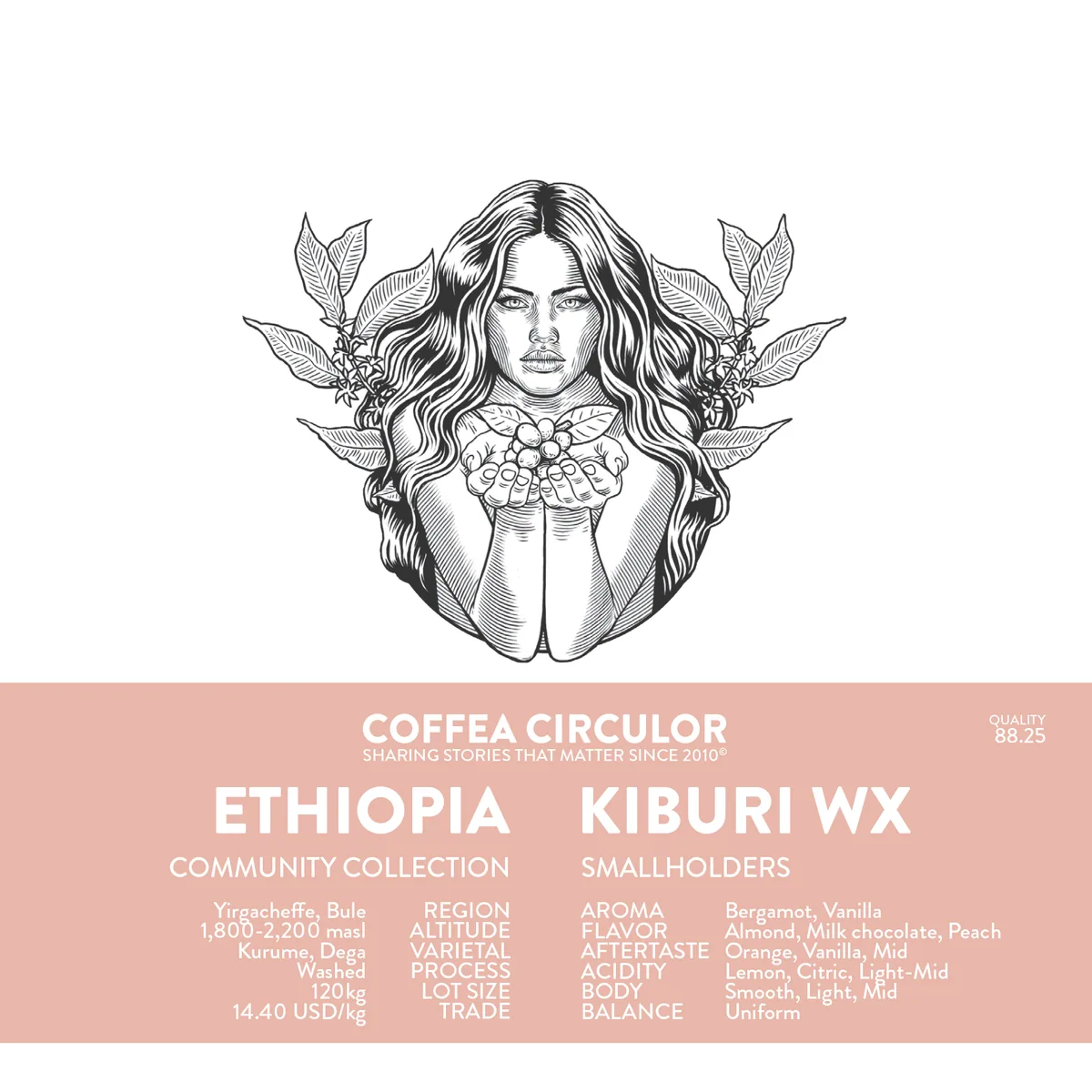ethiopia kiburi washed wx - ethiopia coffee by coffea circulor