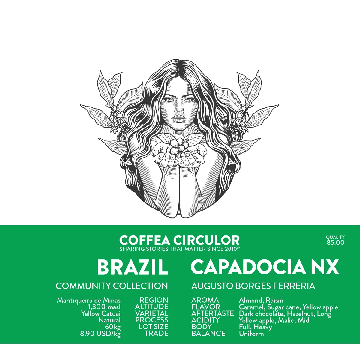 brazil capadocia yellow catuai natural nx (espresso) coffee by coffea circulor