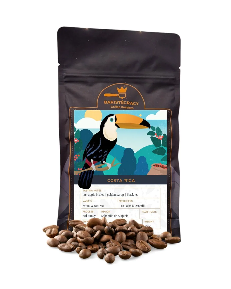 costa rica coffee by baristocracy coffee