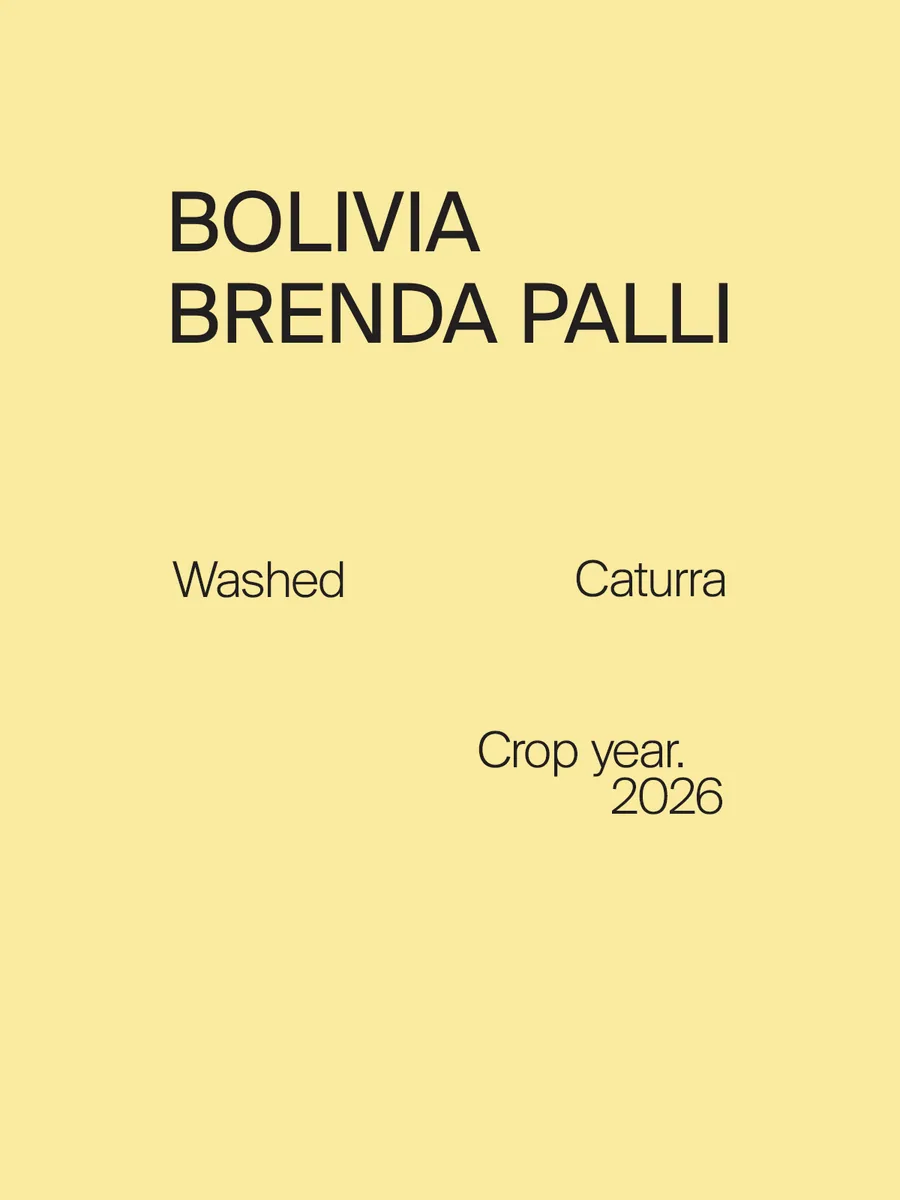 bolivia brenda palli caturra washed - bolivia coffee by one half