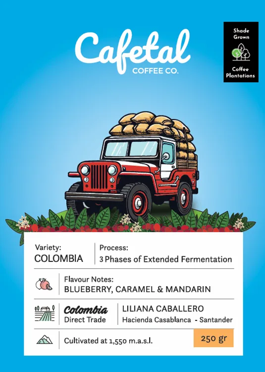 colombia triple fermented coffee beans - colombia coffee by cafetal coffee co.