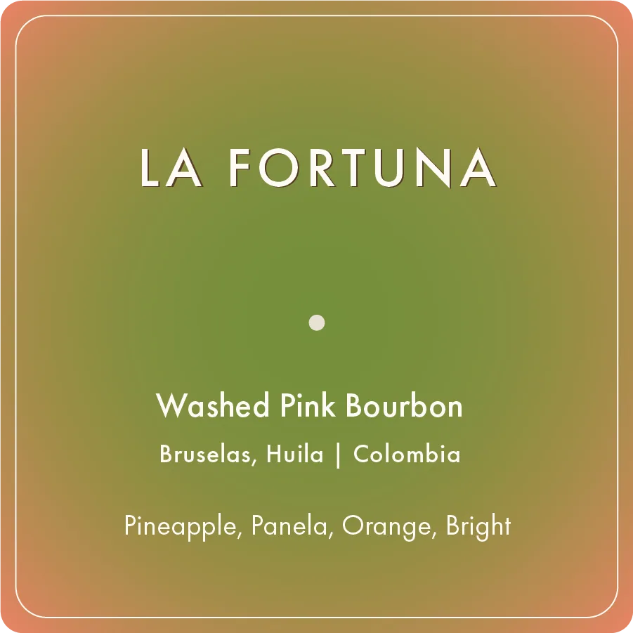 la fortuna coffee by regalia