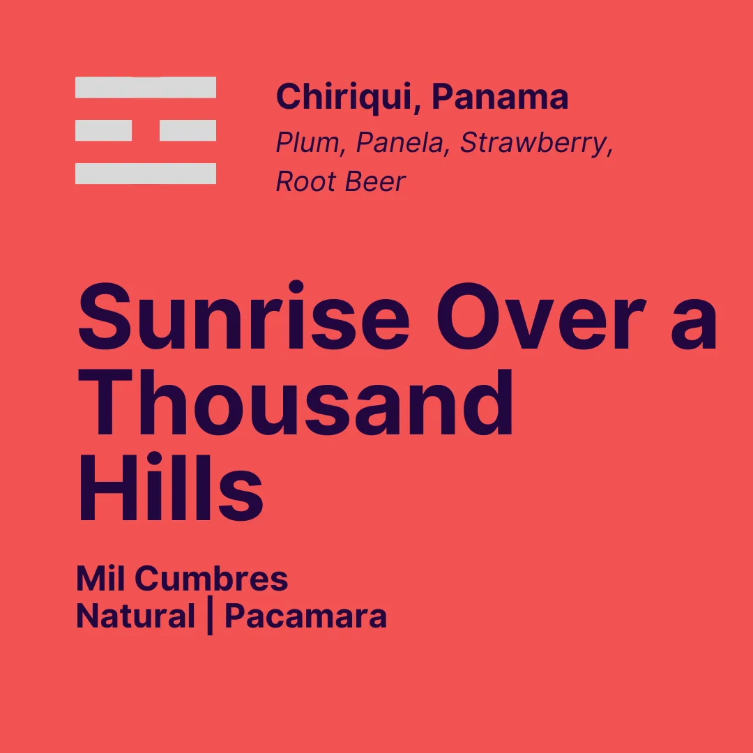 sunrise over a thousand hills coffee by café jindo