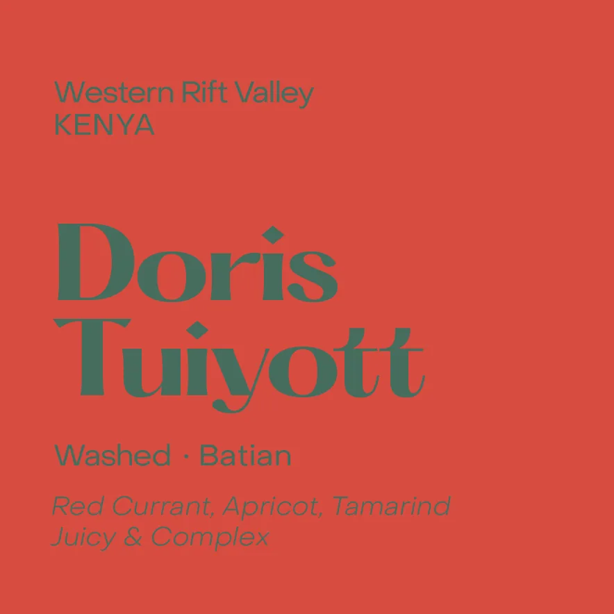 kenya doris tuiyott, washed batian coffee by subtext coffee roasters