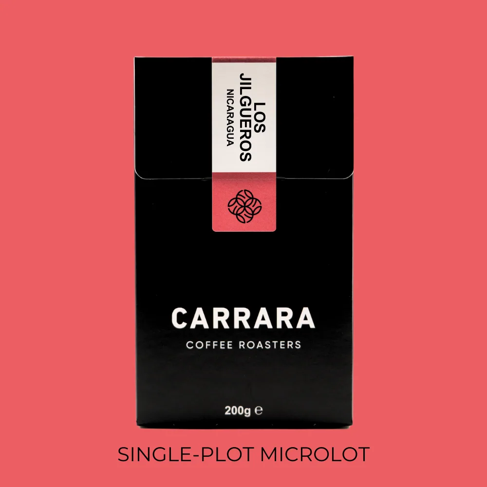 los jilgueros, nicaragua - single-plot microlot coffee by carrara coffee roasters
