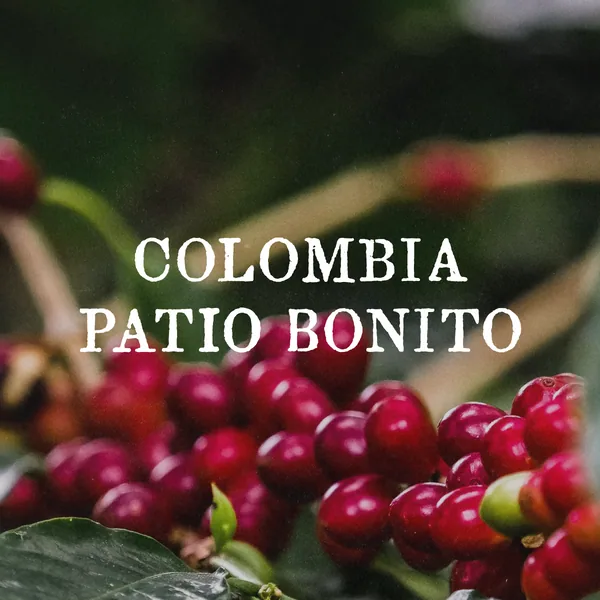 colombia patio bonito (natural) coffee by case study coffee roasters