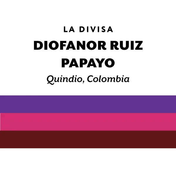 colombia diofanor ruiz papayo coffee by h&s coffee roasters