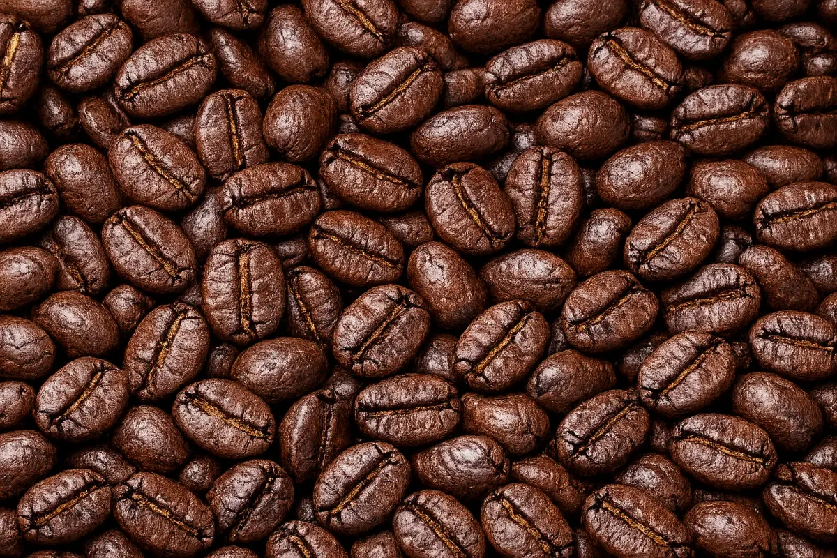 java wine roasted coffee beans - indonesia coffee by pt. indonesia specialty coffee