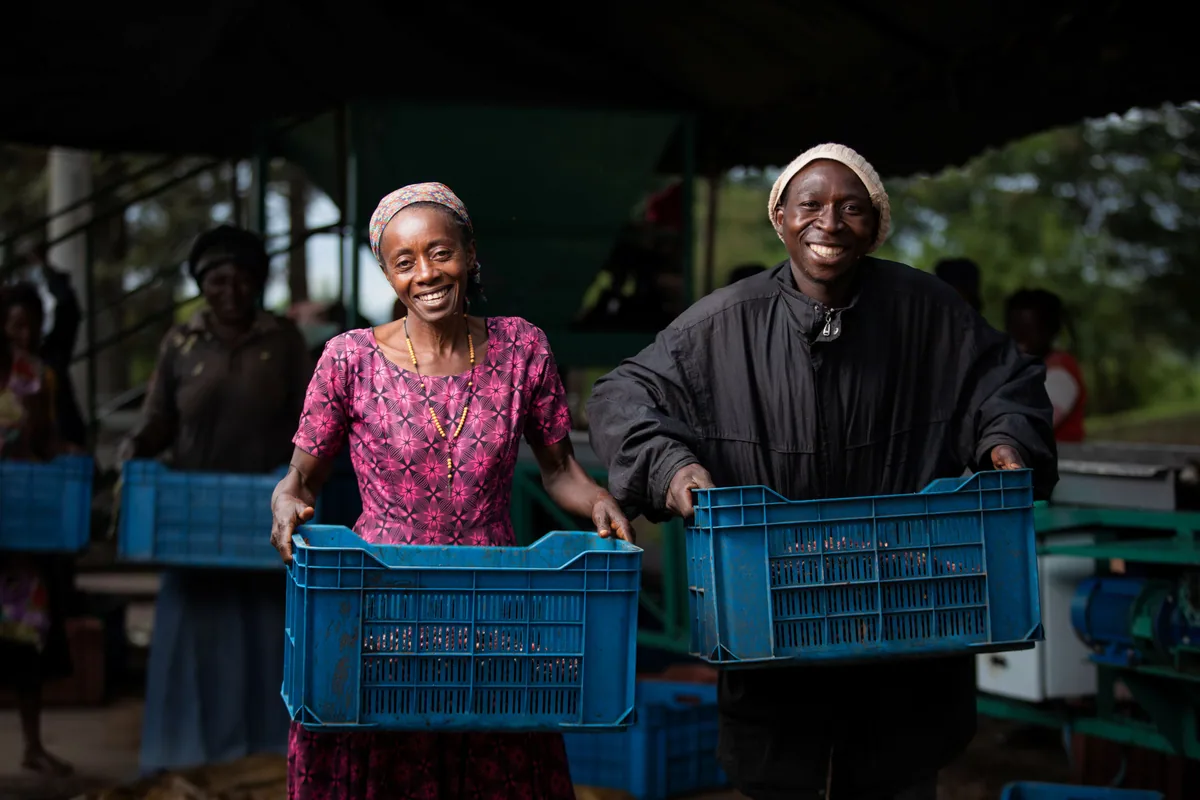 uganda african moon, natural - filter coffee by surrey hills coffee - roastery