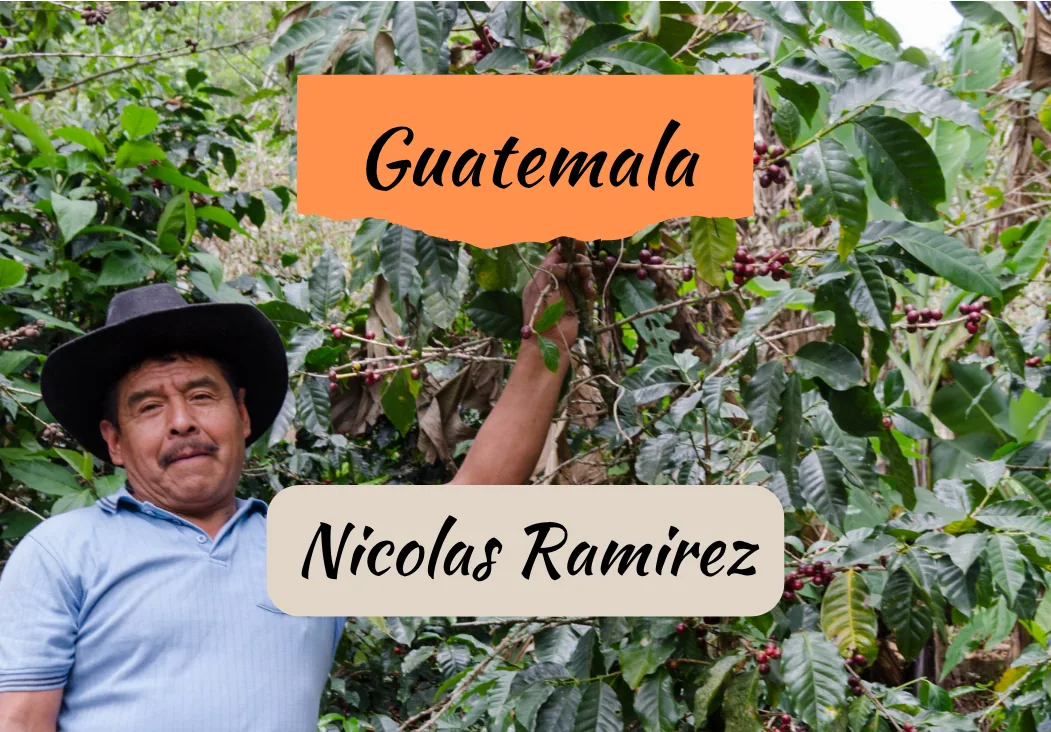 guatemala | nicolas ramirez coffee by draft coffee roasters