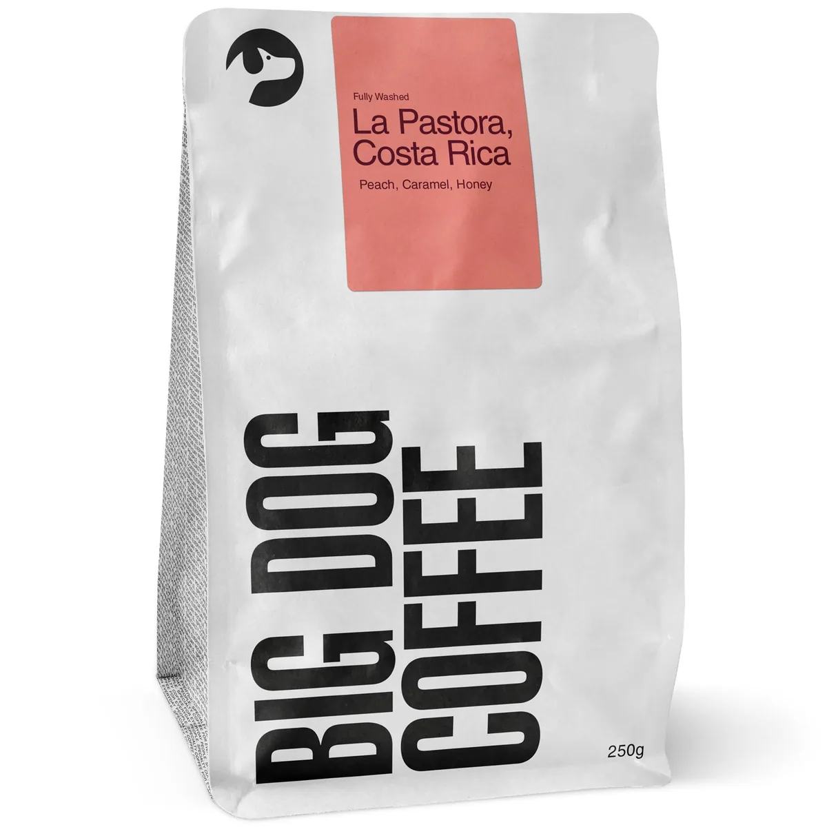 costa rica, la pastora coffee by big dog coffee roasters