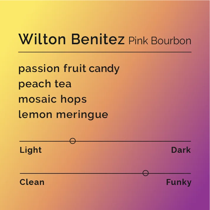 wilton benitez - pink bourbon coffee by black & white coffee roasters