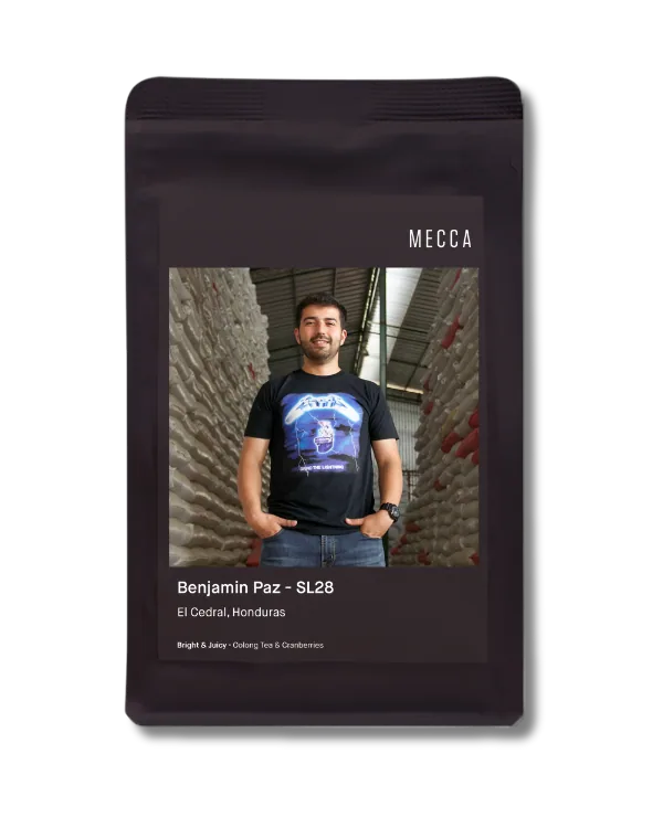 benjamin paz - sl28 2025 - honduras coffee by mecca coffee - alexandria