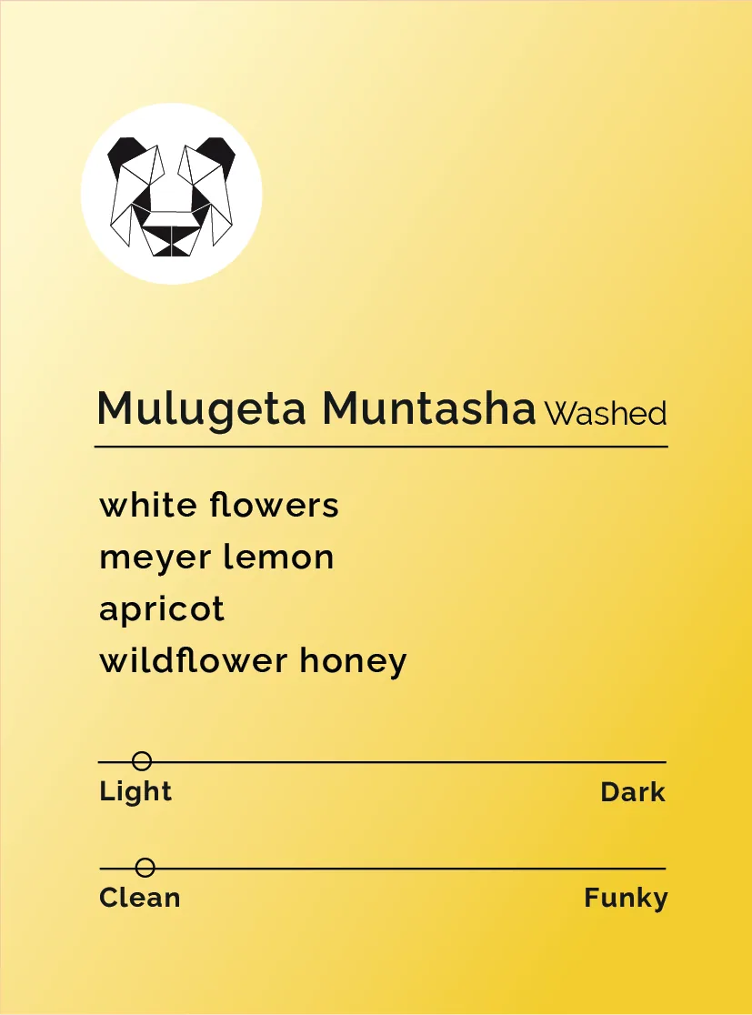 mulugeta muntasha - washed coffee by black & white coffee roasters