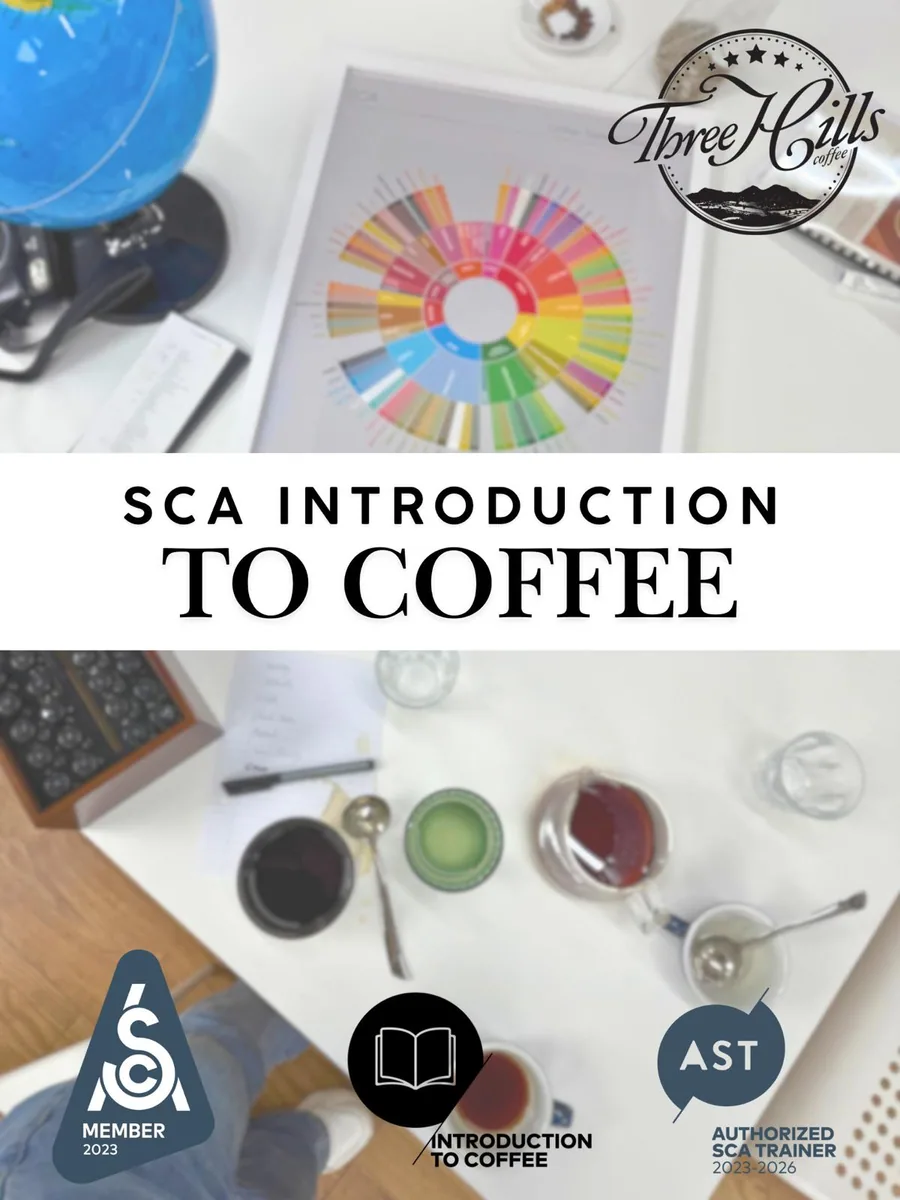 sca introduction to coffee coffee by three hills coffee